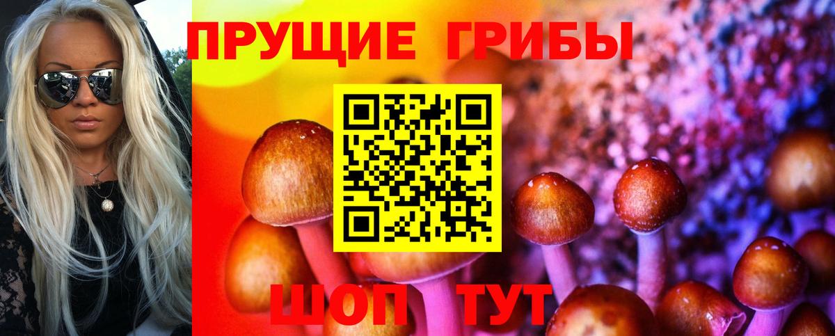 Псилоцибиновые грибы Psilocybine cubensis  Вход с VPN  Урус-Мартан 